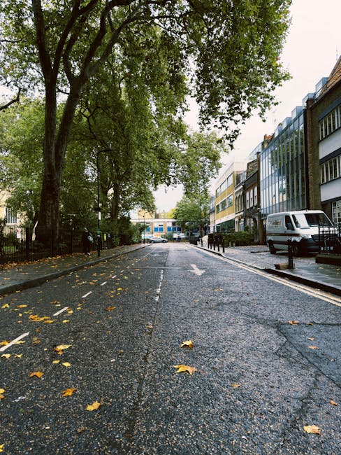 A quiet street scene in Crouch End featuring a wet asphalt road with scattered fallen yellow and brown leaves, flanked by a row of modern multi-storey buildings with glass facades on the right side and a park area with tall leafy trees on the left. The trees have dense green foliage, some extending over the street. There is a white van parked on the right pavement, near the entrance of a property, and several black metal bollards line the sidewalks for pedestrian safety. In the background, the street extends toward a distant intersection, with overcast lighting indicating a recent rain or ongoing drizzle. This scene illustrates an urban residential area suitable for home relocation and furniture transport activities, with visible elements such as the van, packaging materials, and the surrounding environment supporting moving and removal services like those offered by Man with Van Crouch End.